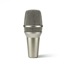 Directional microphone