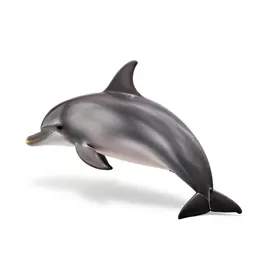 Dolphin striker