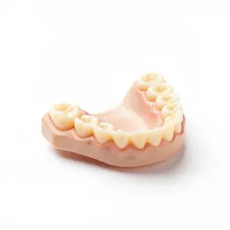 False teeth