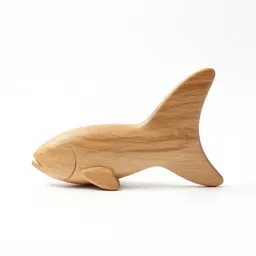 Fin