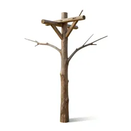 Gallows tree