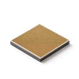 Gene chip