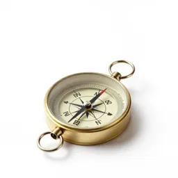 Gyrocompass