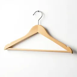 Hanger