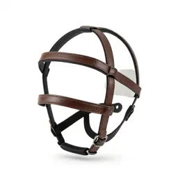 Headgear