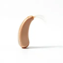 Hearing aid