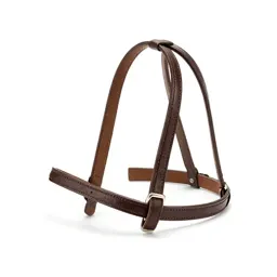 Leading rein