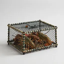 Lobster pot