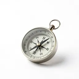 Magnetic compass