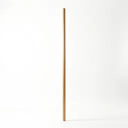 Mast