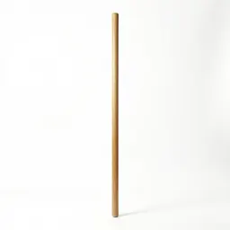Maulstick