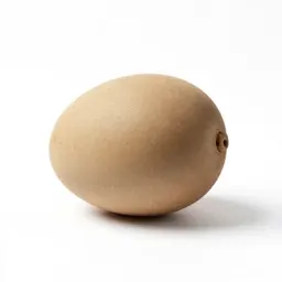 Meniscus