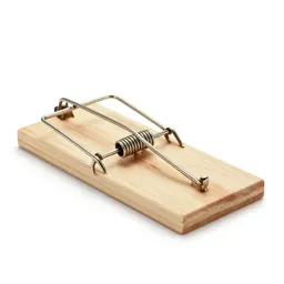 Mousetrap