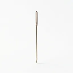 Needle