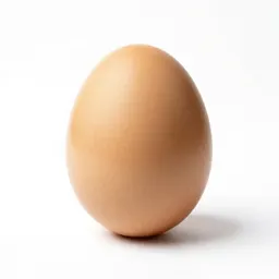 Nest egg