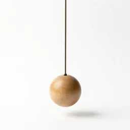 Physical pendulum