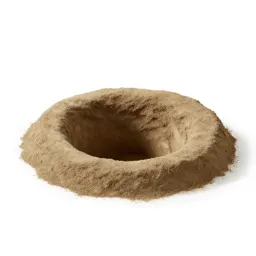 Pit