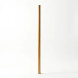 Pole