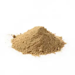 Powder and shot