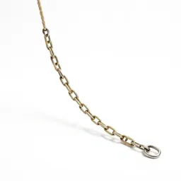 Pull chain