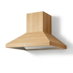 Range hood
