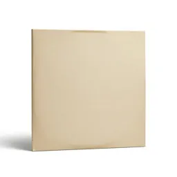 Record jacket