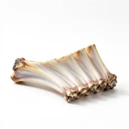 Rib