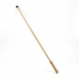 Riding crop