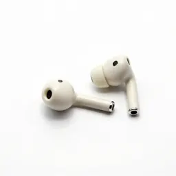 Earphone