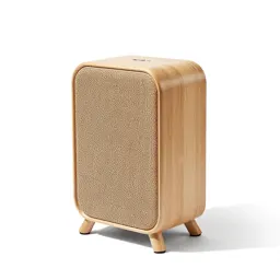 Electric heater