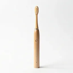 Electric toothbrush