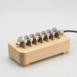 Electrophorus