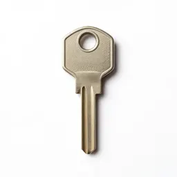 Ignition key
