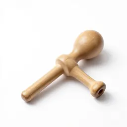 Instrument of punishment