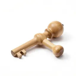 Instrument of torture