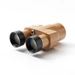 Optical instrument