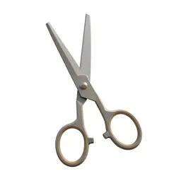 Pair of grooming scissors
