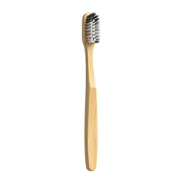 Toothbrush in a holder