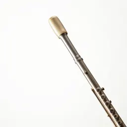 Flute of sparkling wine