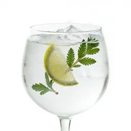 Gin and tonic with botanicals