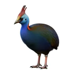 Takahe