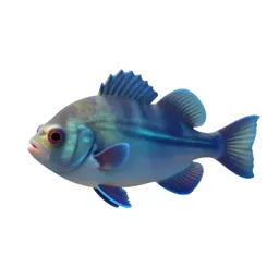 Bio-luminescent deep sea fish