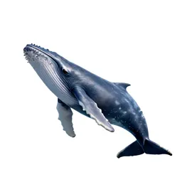 Humpback whale breaching