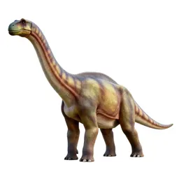 Diplodocus