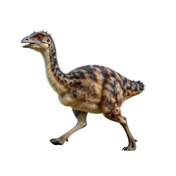 Gallimimus running