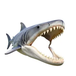 Megalodon jaw