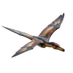 Pteranodon gliding