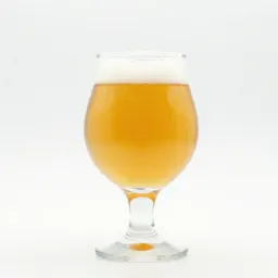 Craft beer in a tulip glass