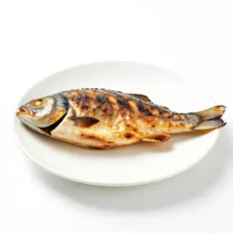 Grilled fish on a plate