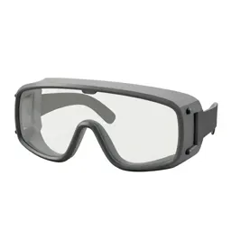 Pair of safety goggles